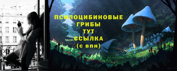 гашик Покров