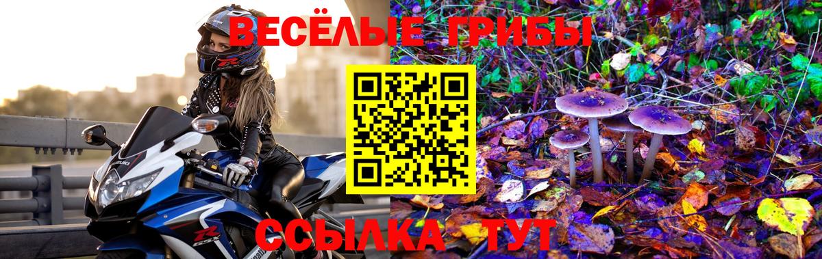 Псилоцибиновые грибы Psilocybe  Вход с VPN  Краснокамск  Псилоцибиновые грибы MAGIC MUSHROOMS 