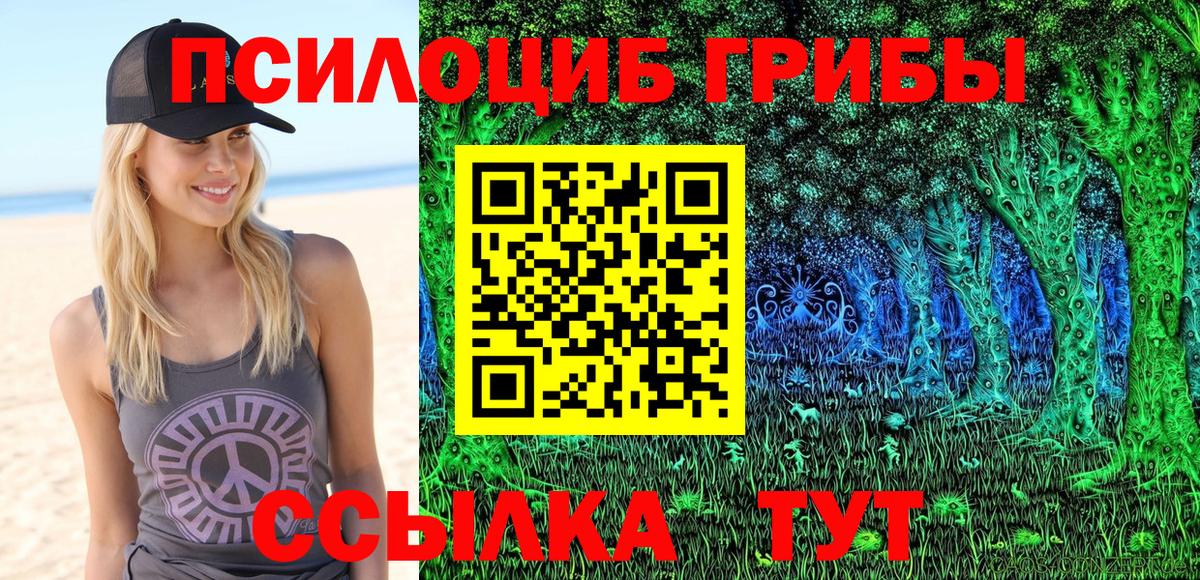 Галлюциногенные грибы Psilocybe Краснокамск